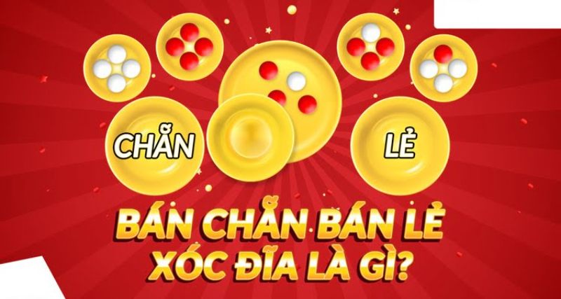 Bán chẵn bán sỉ trong xóc đĩa là gì?