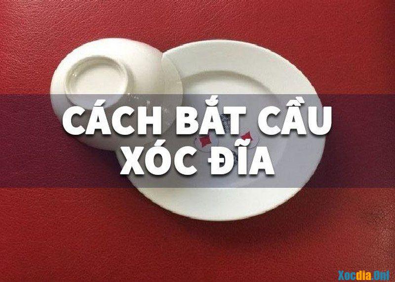 Xóc đĩa 3D