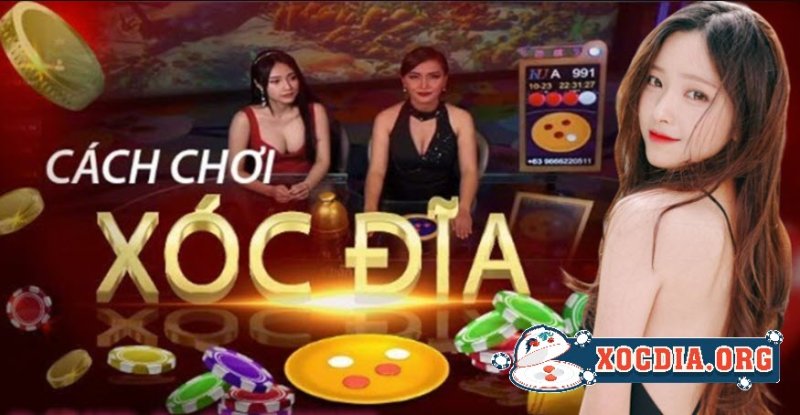 Hướng Dẫn Chi Tiết Cách Chơi Xóc đĩa Trên Ku Casino