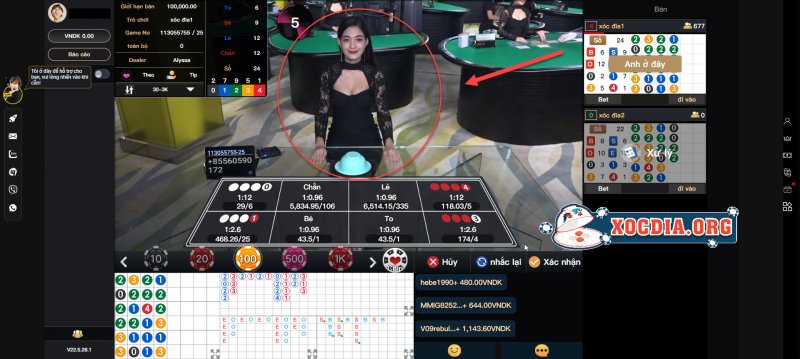 Dealer Trong Game Xóc đĩa Là Gì? Tìm Hiểu Thuật Ngữ Xóc đĩa?