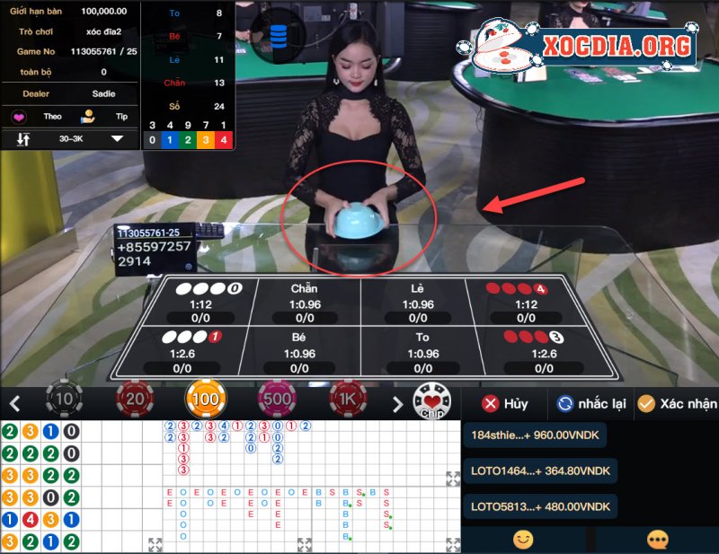 Vai Trò Và Trách Nhiệm Của Dealer Trong Game Xóc đĩa Là Gì?