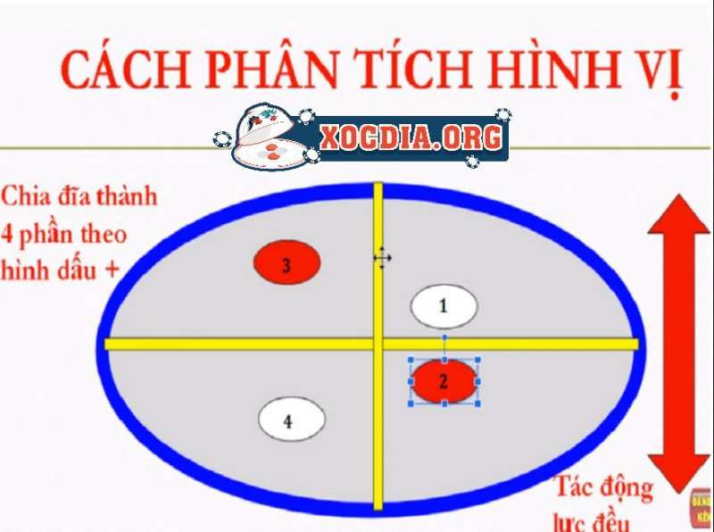 Cách Nhìn Hình Vị Xóc đĩa Là Gì?