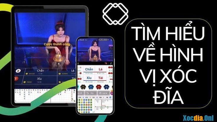 Hình vị xóc đĩa